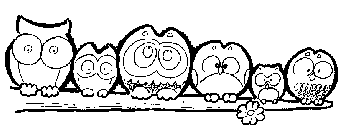 ����2.8KB����Ҫ���뽻����������